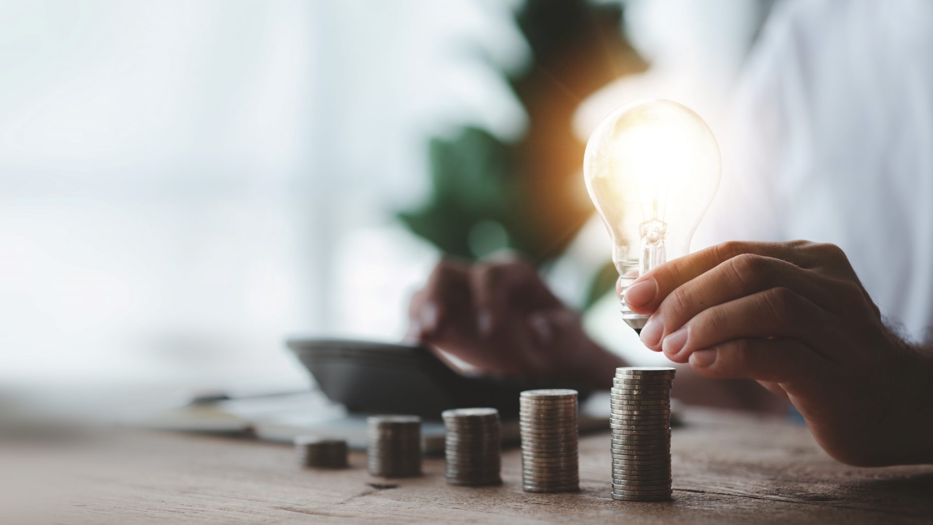 Tesoreria de una empresa-negocios-liquidez-efectivo-rentabilidad-mentorizacion