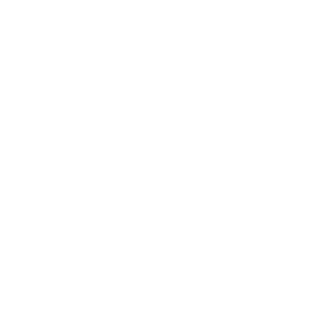 Logo Irecfer