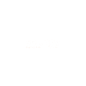Logo Solurgy
