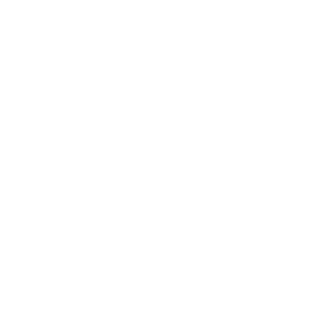 300 LOGO DISMAVI