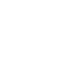 300 LOGO VERDE