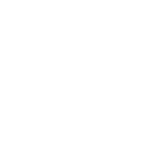 300 Logo Feelant