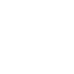 300 Logo Multibreves