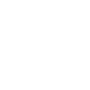 300 Logo Rocket Place