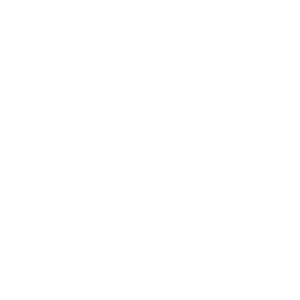 300 logo OBERYN Marketing