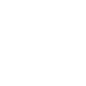 300 logo SN Industrial