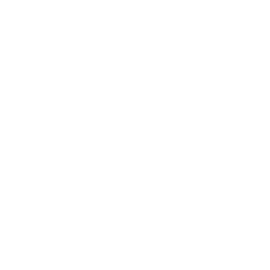 300 logo arca-saude-blanco
