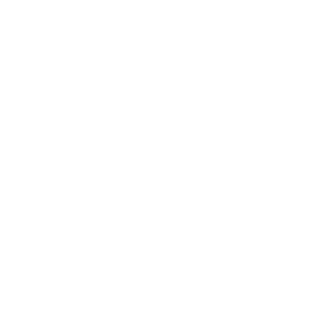300 logo fevega