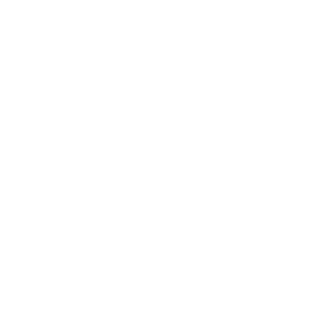 300 logo mpfluids