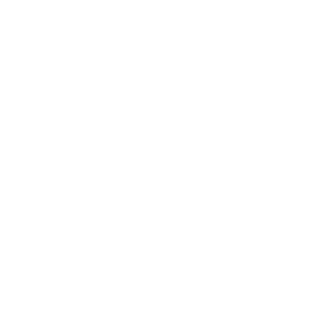 300 logo saudestudio