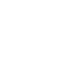 300 logo terra
