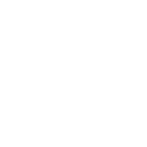 300 logo tmp