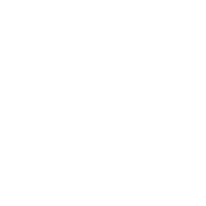 300 logo xeito